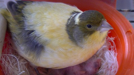 piep hier zijn we even samen met ons mama  jenny 